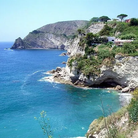 Paradise